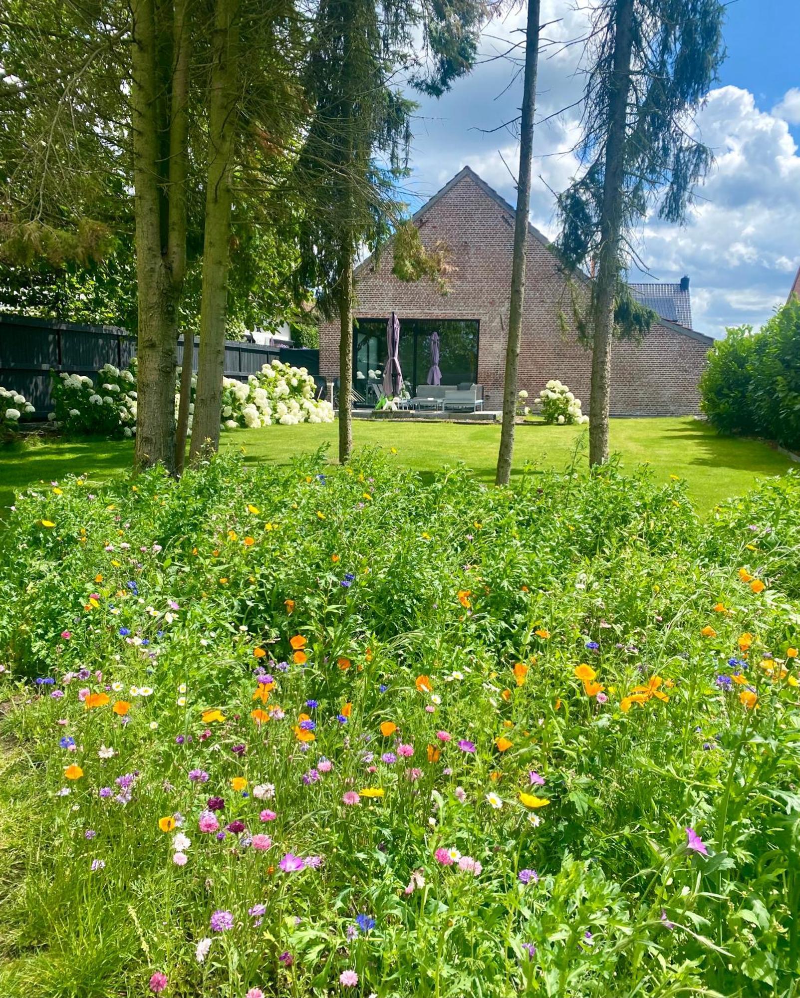 Hoeve De Kleinheide Dessel Esterno foto