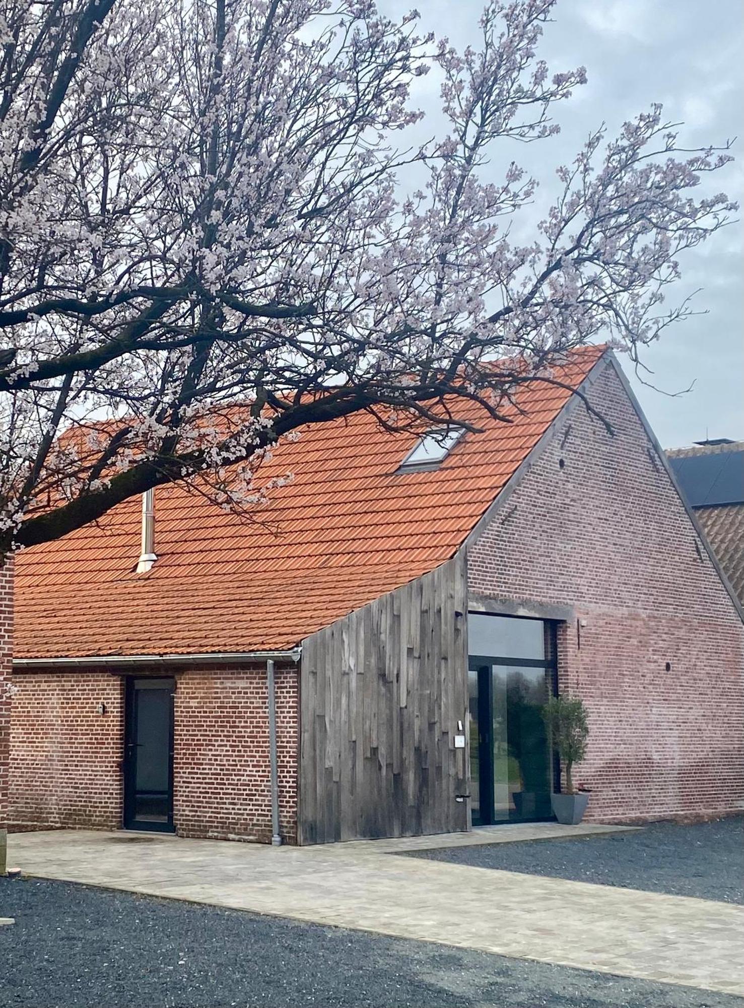 Hoeve De Kleinheide Dessel Esterno foto